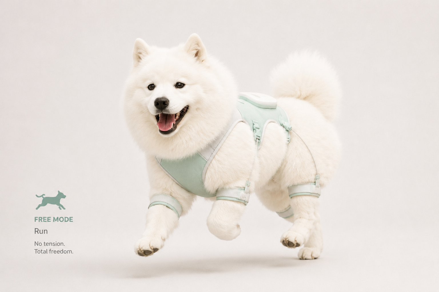 Dog responding to Free mode